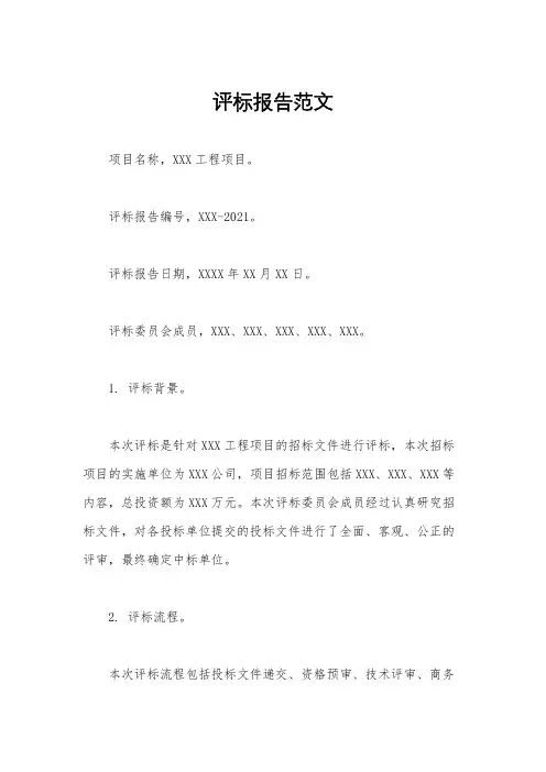 评标报告范文