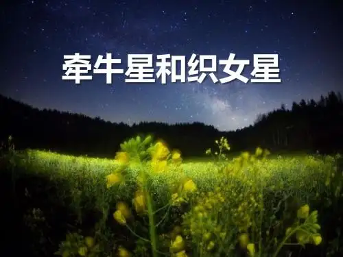 《牵牛星和织女星》PPT课件2 (共23张PPT)