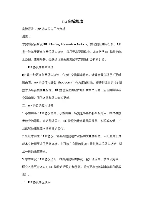 rip实验报告