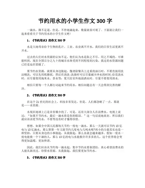 节约用水的小学生作文300字