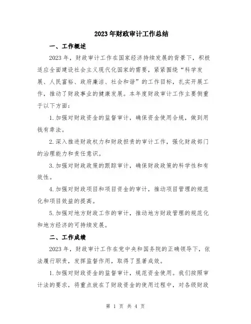 2023年财政审计工作总结