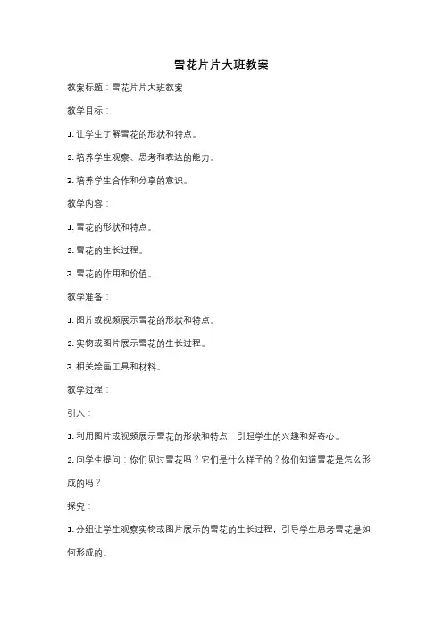 雪花片片大班教案