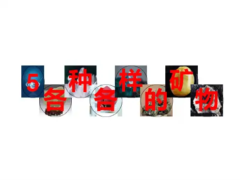 青岛版小学科学五上各种各样的矿物