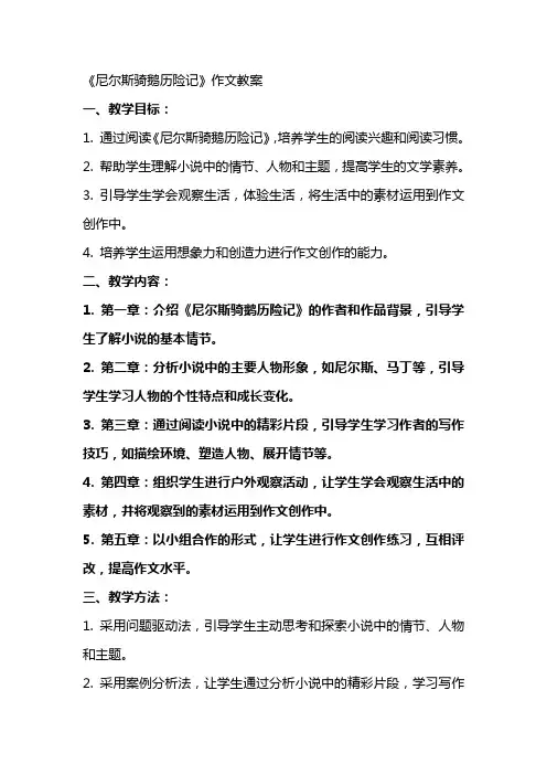《尼尔斯骑鹅历险记》作文教案
