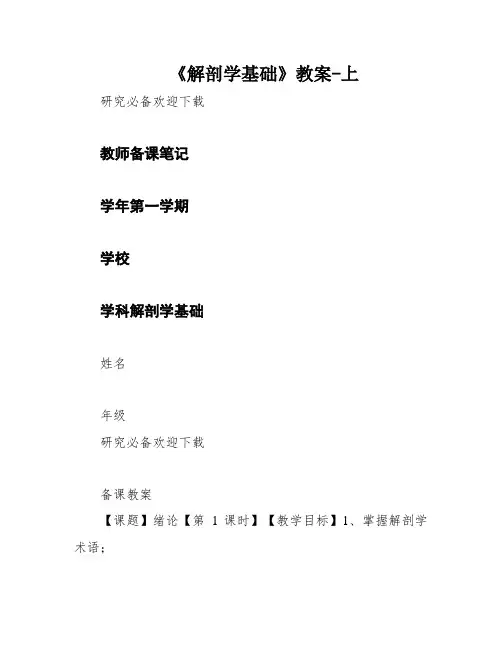 《解剖学基础》教案-上