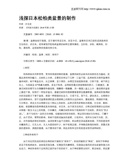 浅探日本松柏类盆景的制作