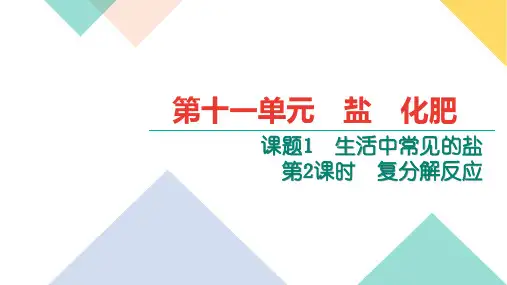 人教版九年级下册化学11.1.2复分解反应