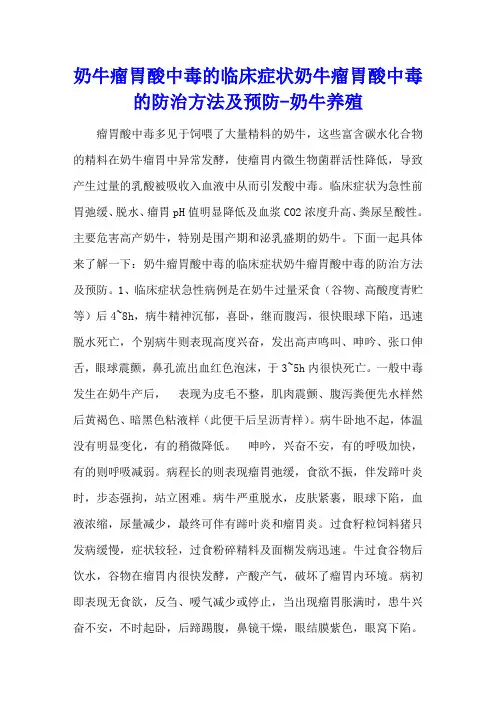奶牛瘤胃酸中毒的临床症状 奶牛瘤胃酸中毒的防治方法及预防 - 奶牛养殖