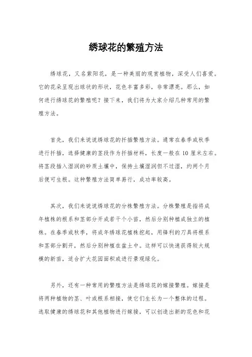 绣球花的繁殖方法