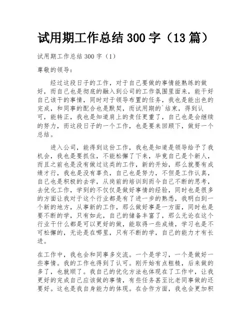试用期工作总结300字(13篇)