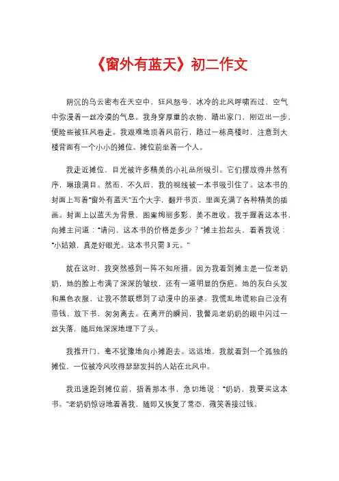 《窗外有蓝天》初二作文