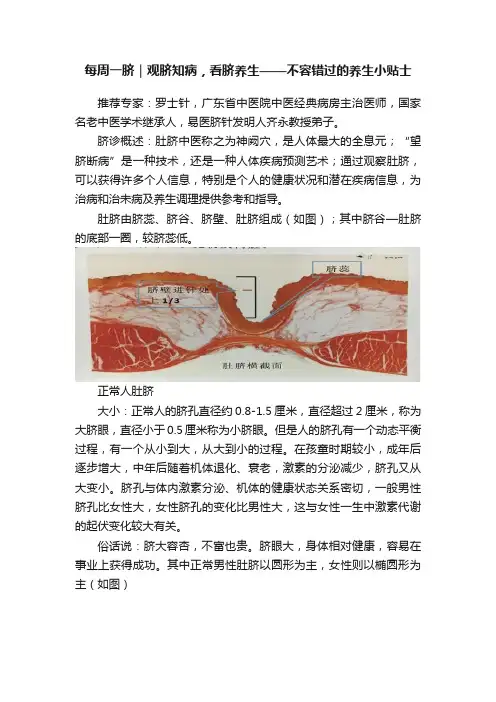每周一脐｜观脐知病，看脐养生——不容错过的养生小贴士