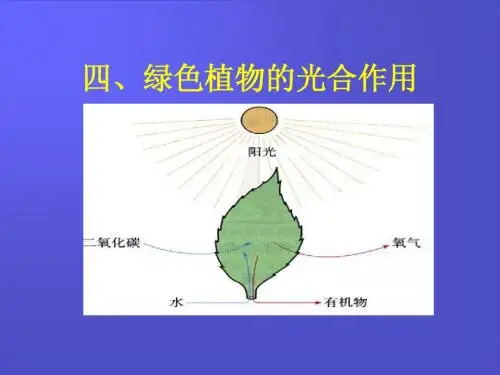 光合作用和作用