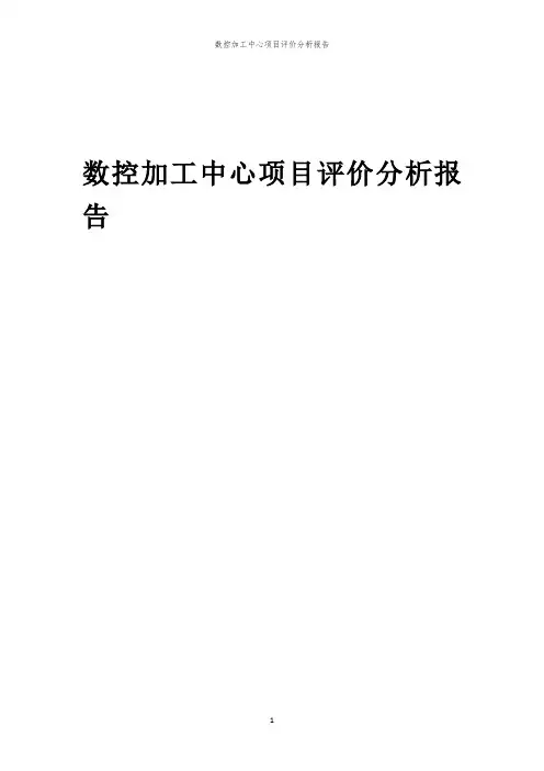 数控加工中心项目评价分析报告