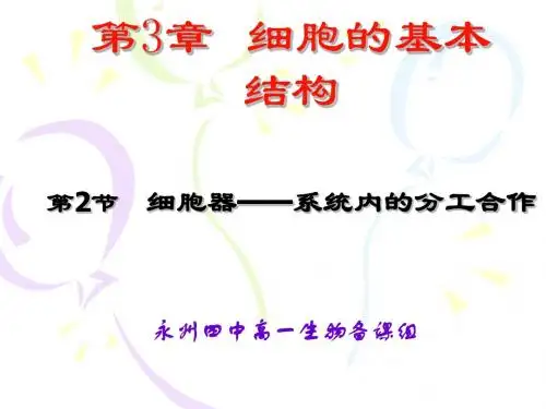 人教版教学课件细胞器——系统内的分工与合作