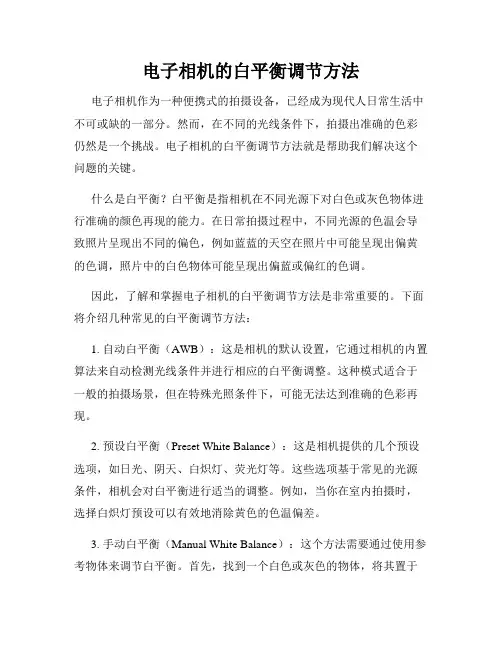电子相机的白平衡调节方法