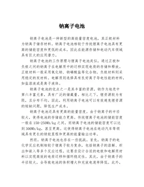 钠离子电池