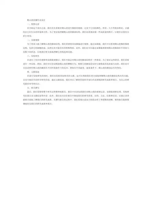 爬山虎的脚作业设计