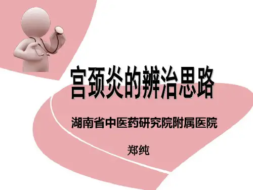 慢性宫颈炎病史  ppt课件
