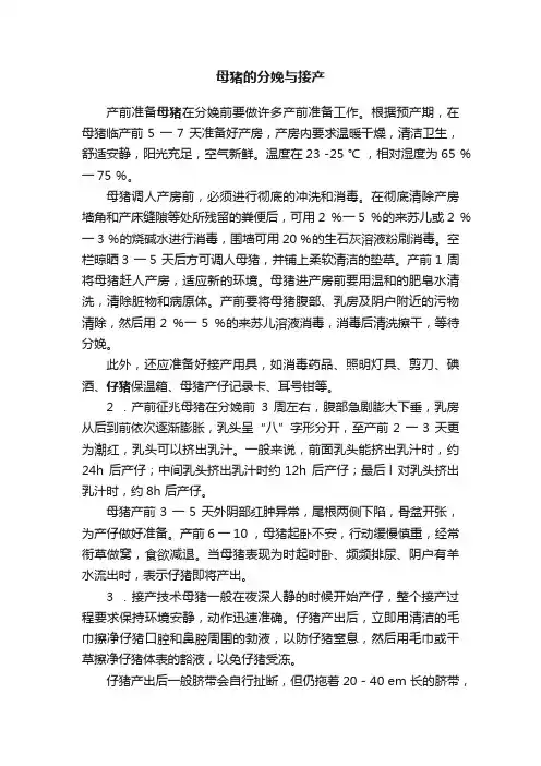 母猪的分娩与接产