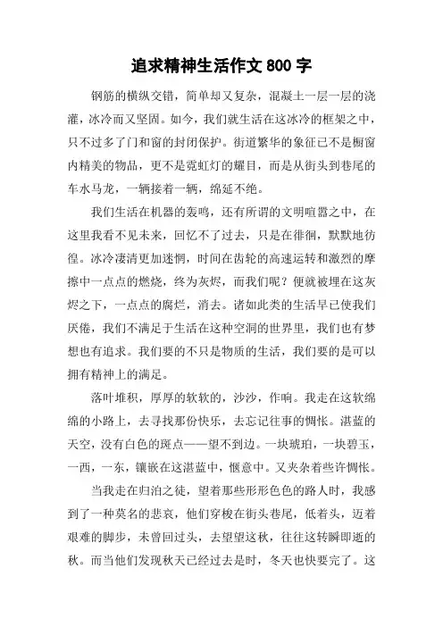 追求精神生活作文800字_1
