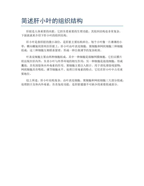 简述肝小叶的组织结构