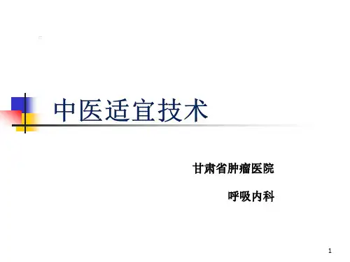 中医适宜技术PPT幻灯片课件