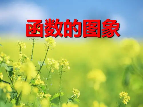 函数图象PPT教学课件