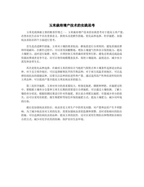 玉米栽培增产技术的实践思考