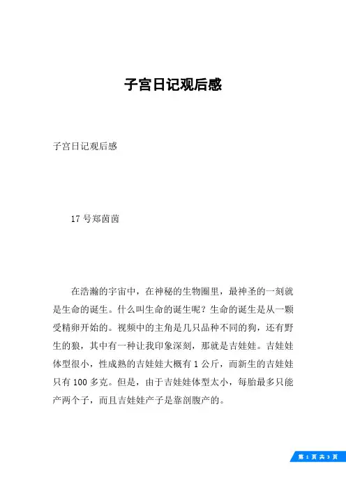 子宫日记观后感