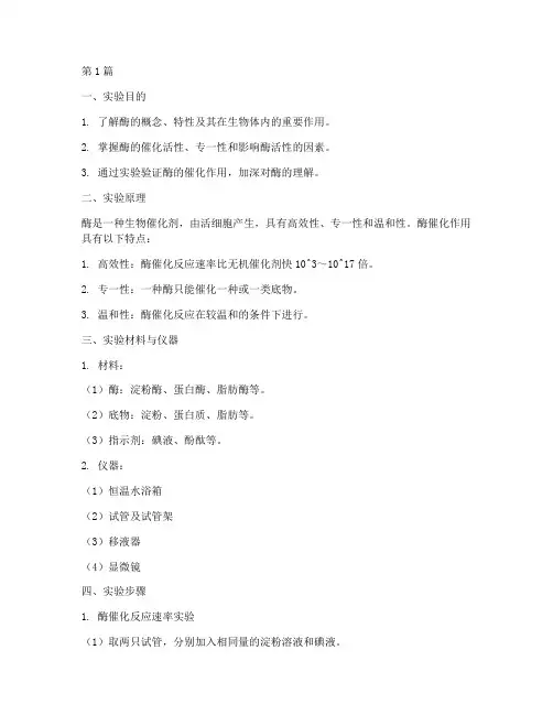 认识酶的实验报告(3篇)