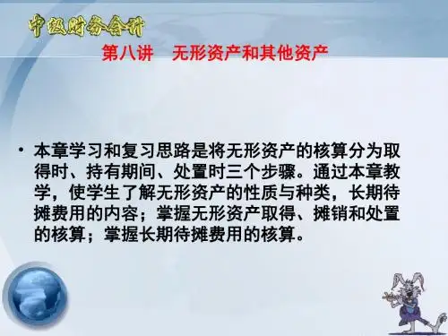 第八讲  无形资产与其他资产-PPT精选文档
