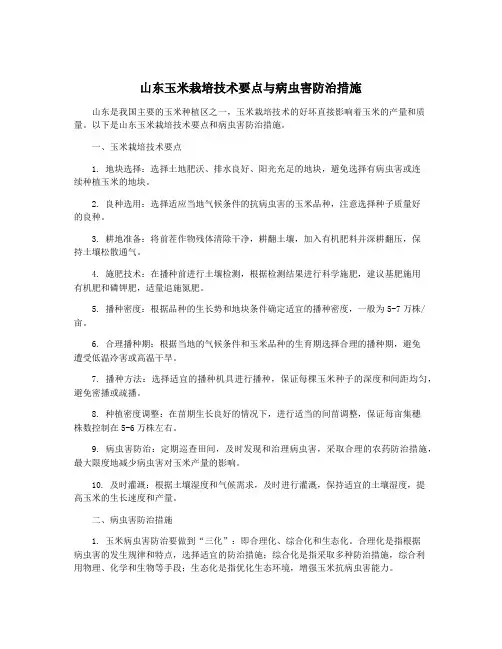 山东玉米栽培技术要点与病虫害防治措施