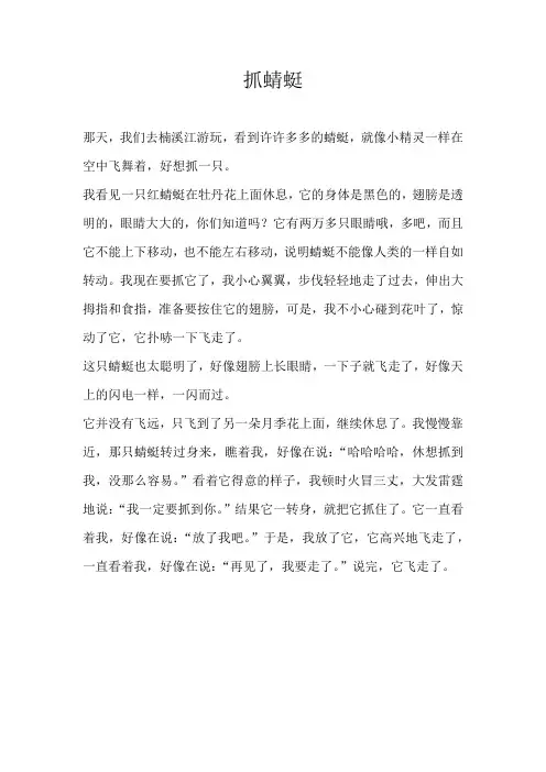 二年级叙事抓蜻蜓