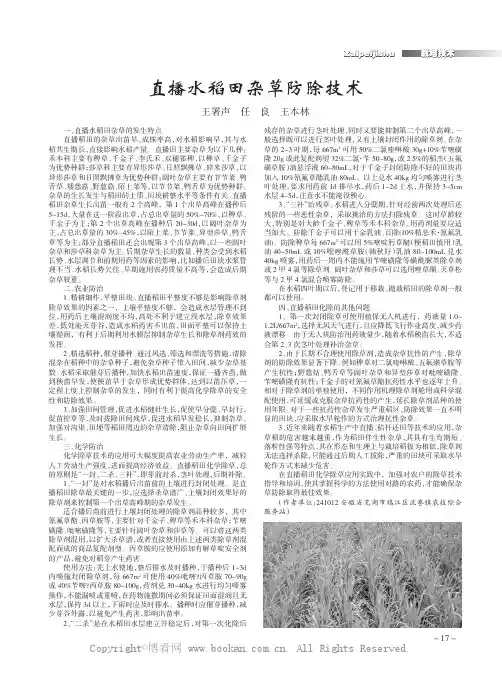 直播水稻田杂草防除技术