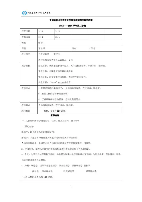 解剖教案(中职)