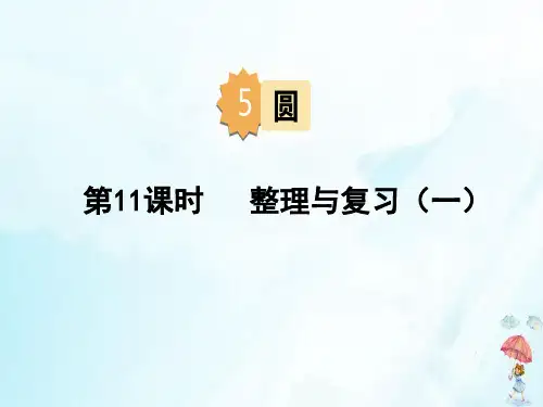 六年级上册第五单元整理与复习(人教版)