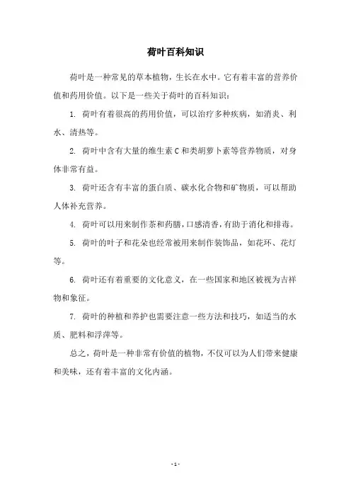 荷叶百科知识