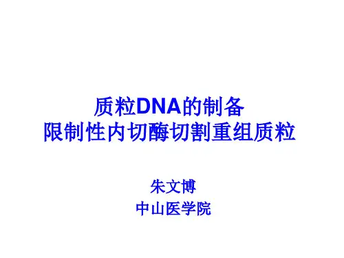 质粒DNA的制备限制性内切酶切割重组PPT课件( 37页)