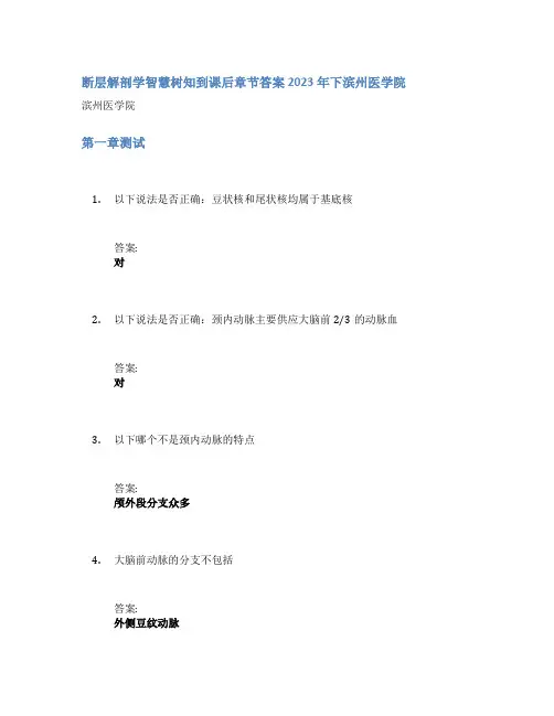 断层解剖学智慧树知到课后章节答案2023年下滨州医学院