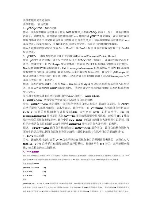 真核细胞常见表达载体