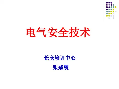 电气安全技术概述(ppt 63页)