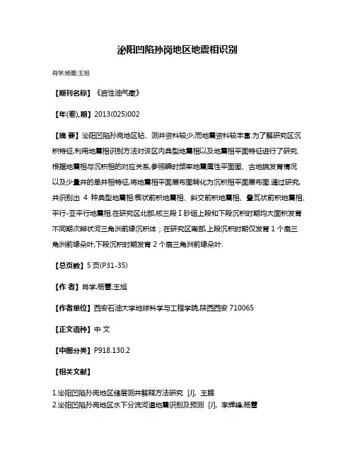 泌阳凹陷孙岗地区地震相识别