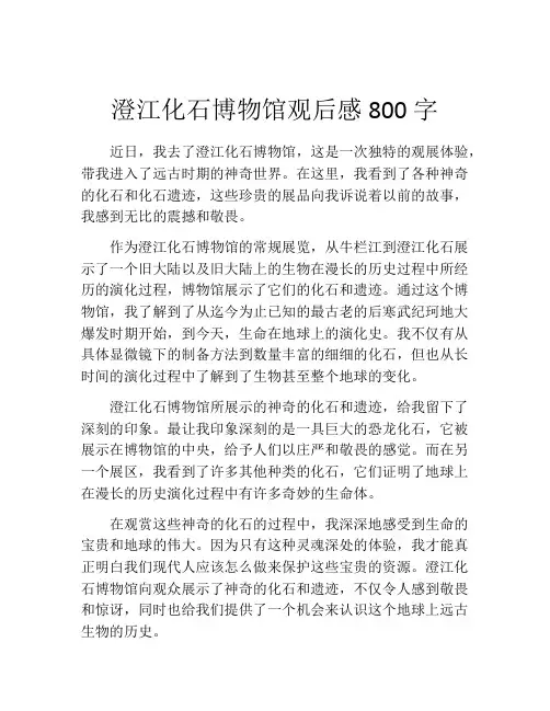 澄江化石博物馆观后感800字