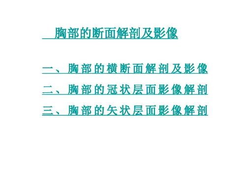 医学影像学课件胸部断面及影像
