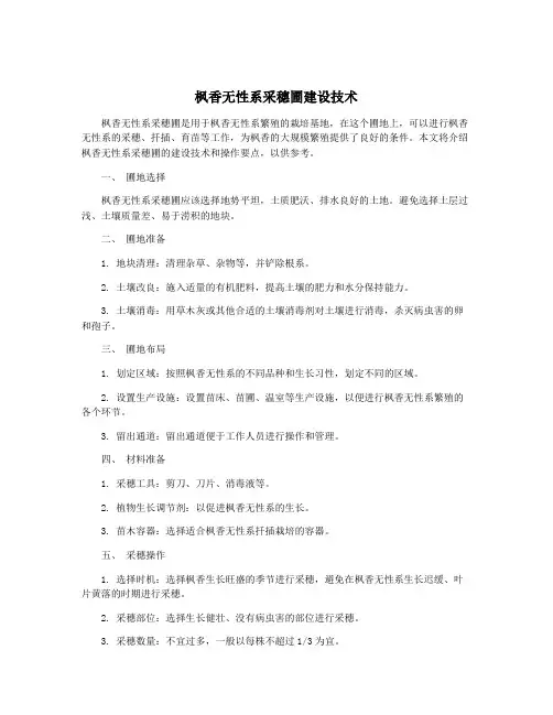 枫香无性系采穗圃建设技术