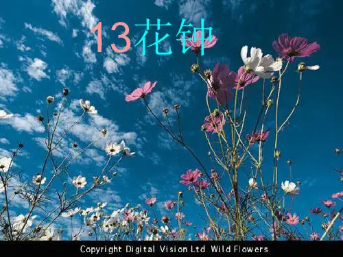 《花钟》PPT课件