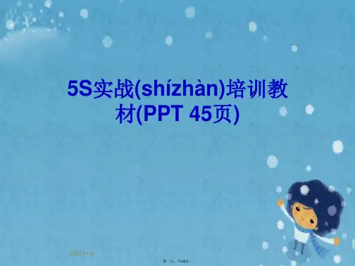 5S实战培训教材(PPT 45页)