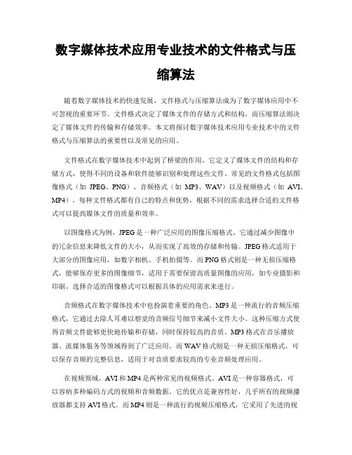 数字媒体技术应用专业技术的文件格式与压缩算法