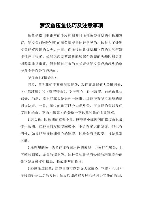 罗汉鱼压鱼技巧及注意事项